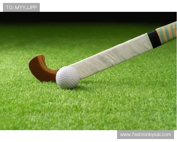 球速体育设备推荐适合不同水平运动员的专业训练器材全面解析